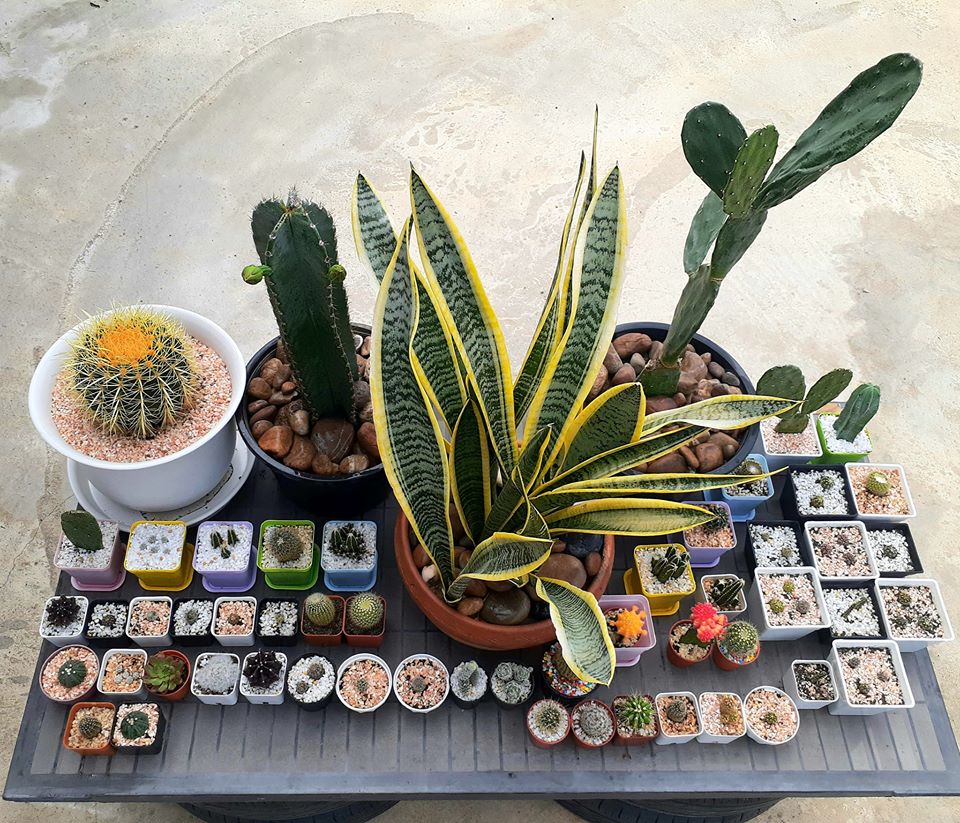 บ้านไม้ ใช้งบ 57,000 บาท สีสันสดใส น่าอยู่