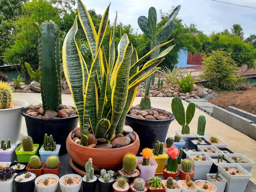 บ้านไม้ ใช้งบ 57,000 บาท สีสันสดใส น่าอยู่