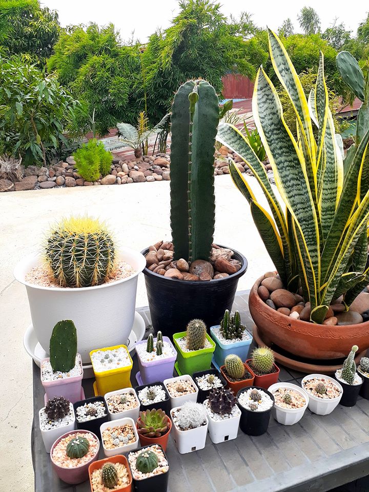 บ้านไม้ ใช้งบ 57,000 บาท สีสันสดใส น่าอยู่