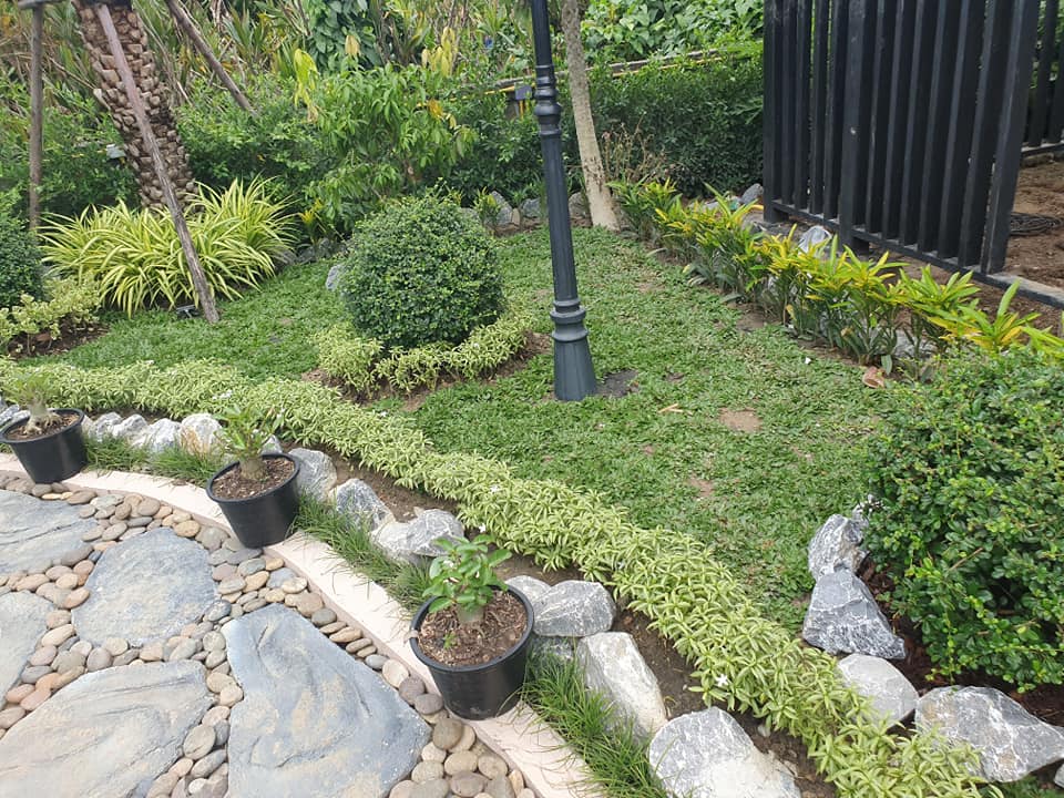 ไอเดียจัดสวนสวยๆ ในบ้าน เอาไปเป็นไอเดียแต่งบ้าน