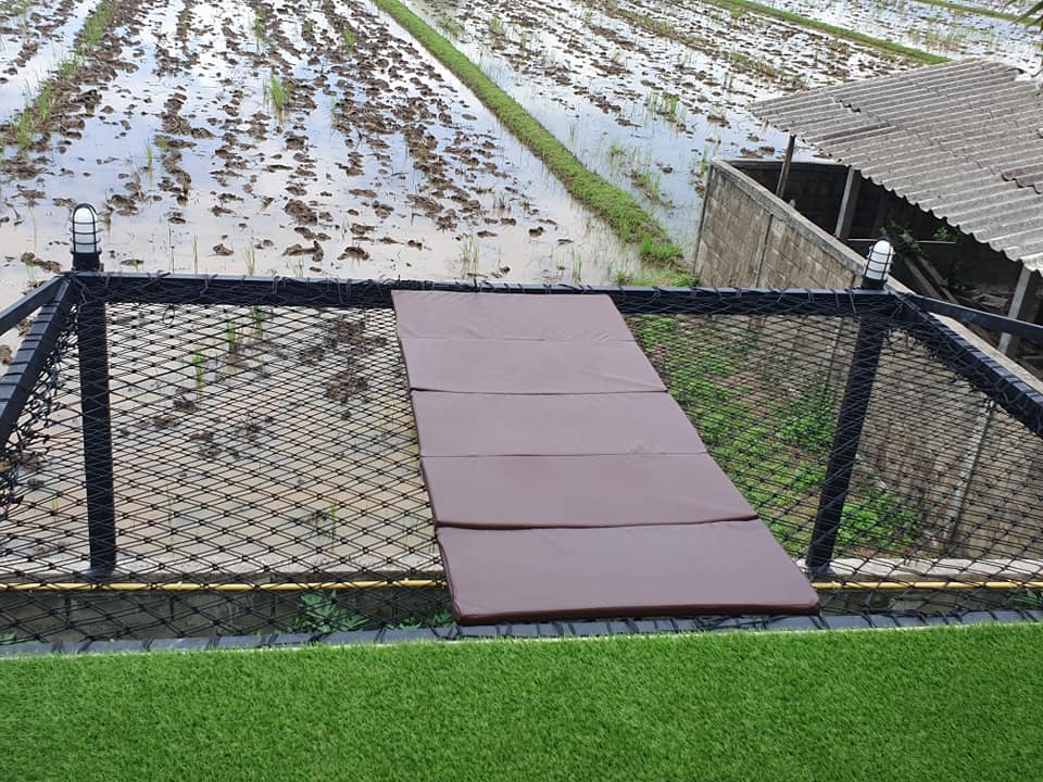 ไอเดียจัดสวนสวยๆ ในบ้าน เอาไปเป็นไอเดียแต่งบ้าน