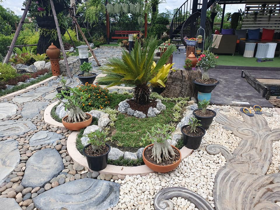 ไอเดียจัดสวนสวยๆ ในบ้าน เอาไปเป็นไอเดียแต่งบ้าน