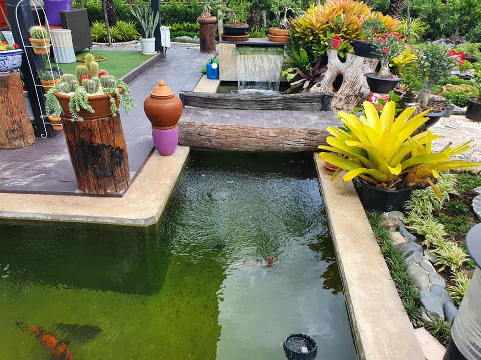 ไอเดียจัดสวนสวยๆ ในบ้าน เอาไปเป็นไอเดียแต่งบ้าน