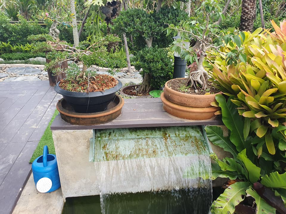 ไอเดียจัดสวนสวยๆ ในบ้าน เอาไปเป็นไอเดียแต่งบ้าน