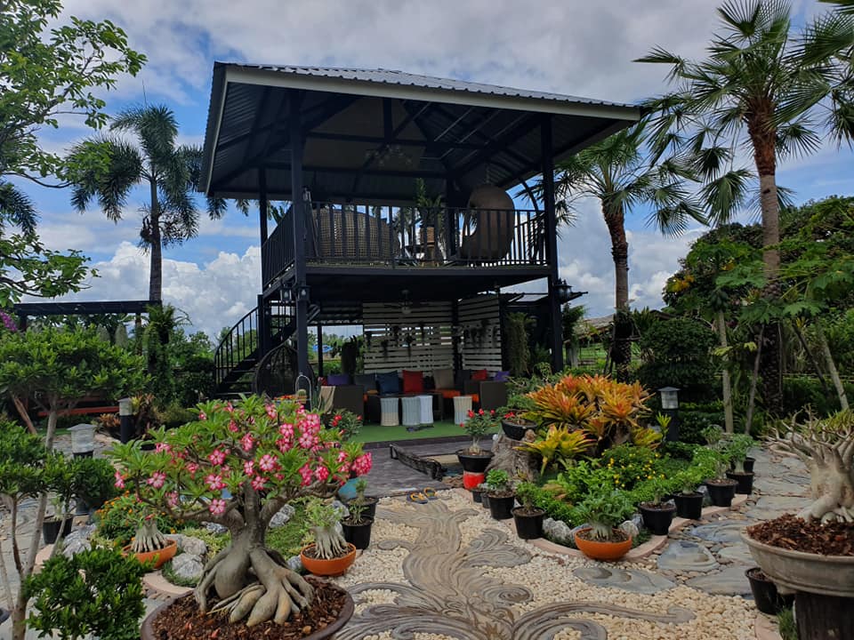 ไอเดียจัดสวนสวยๆ ในบ้าน เอาไปเป็นไอเดียแต่งบ้าน