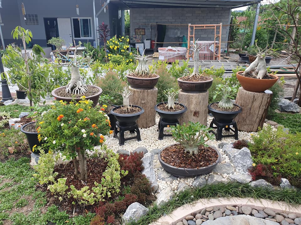 ไอเดียจัดสวนสวยๆ ในบ้าน เอาไปเป็นไอเดียแต่งบ้าน