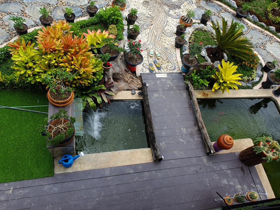 ไอเดียจัดสวนสวยๆ ในบ้าน เอาไปเป็นไอเดียแต่งบ้าน