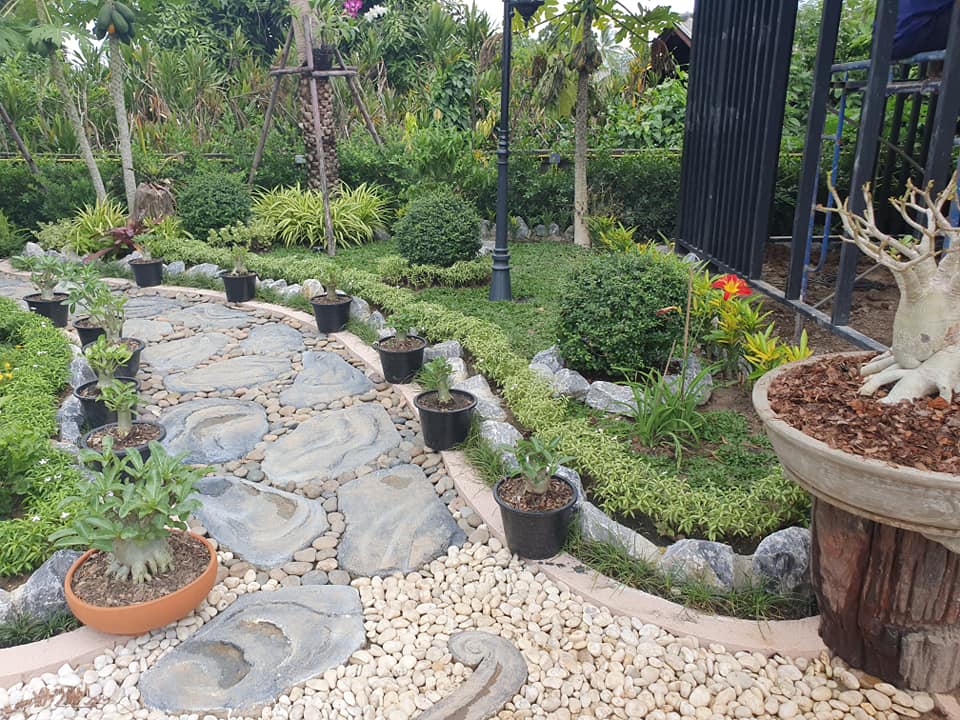 ไอเดียจัดสวนสวยๆ ในบ้าน เอาไปเป็นไอเดียแต่งบ้าน