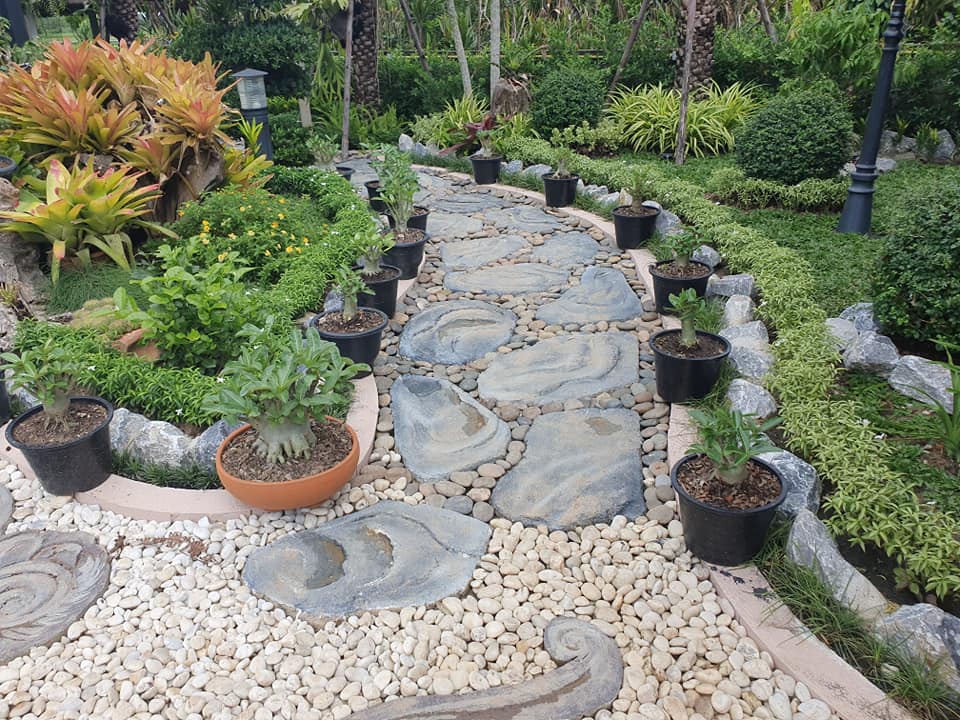 ไอเดียจัดสวนสวยๆ ในบ้าน เอาไปเป็นไอเดียแต่งบ้าน