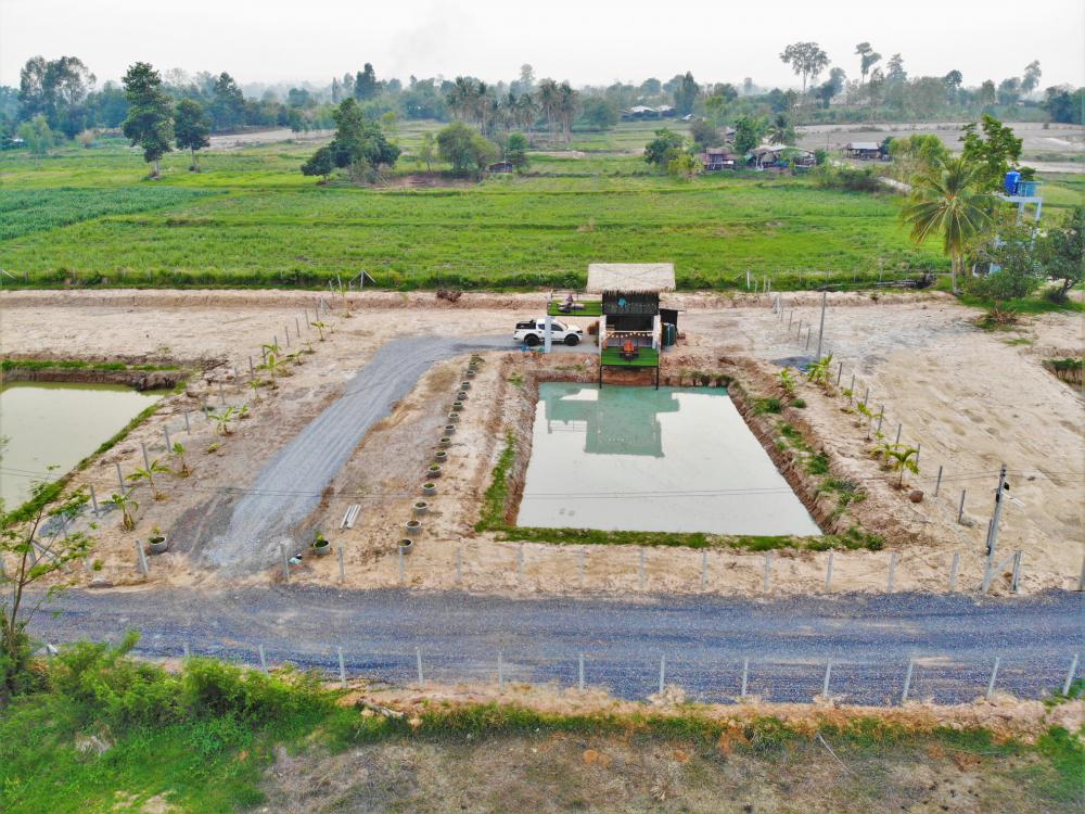 ไอเดียบ้านสวนกับบ่อน้ำ