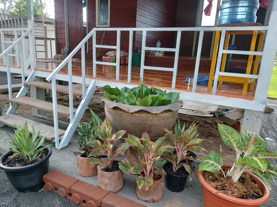 บ้านสวนในงบ 50,000 บาท สวยน่าอยู่