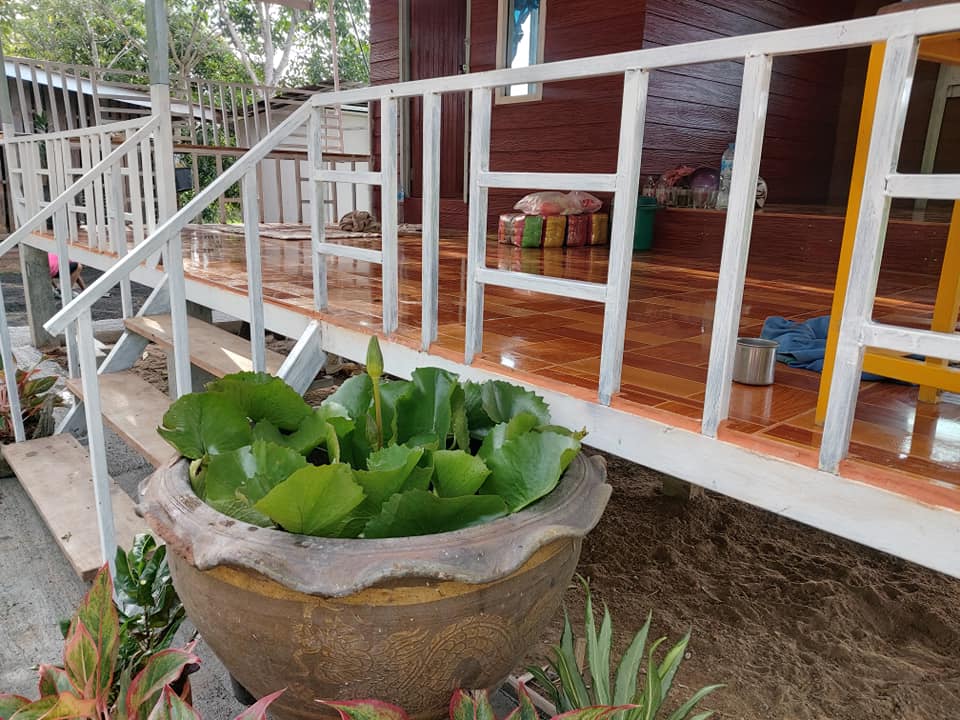 บ้านสวนในงบ 50,000 บาท สวยน่าอยู่