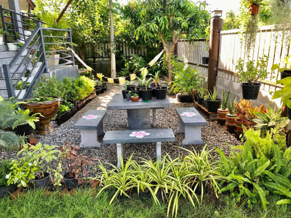 ไอเดียปลูกไม้ประดับ และจัดกระถางบริเวณบ้าน