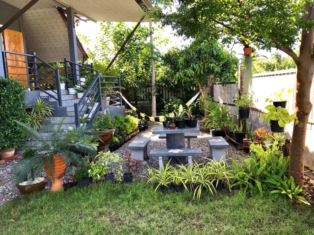 ไอเดียปลูกไม้ประดับ และจัดกระถางบริเวณบ้าน