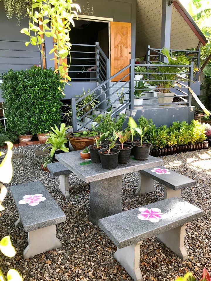 ไอเดียปลูกไม้ประดับ และจัดกระถางบริเวณบ้าน