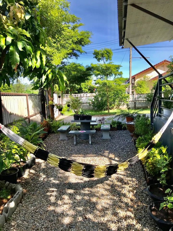 ไอเดียปลูกไม้ประดับ และจัดกระถางบริเวณบ้าน