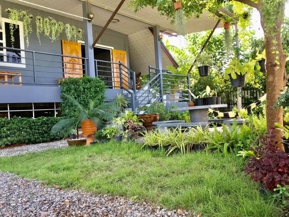 ไอเดียปลูกไม้ประดับ และจัดกระถางบริเวณบ้าน