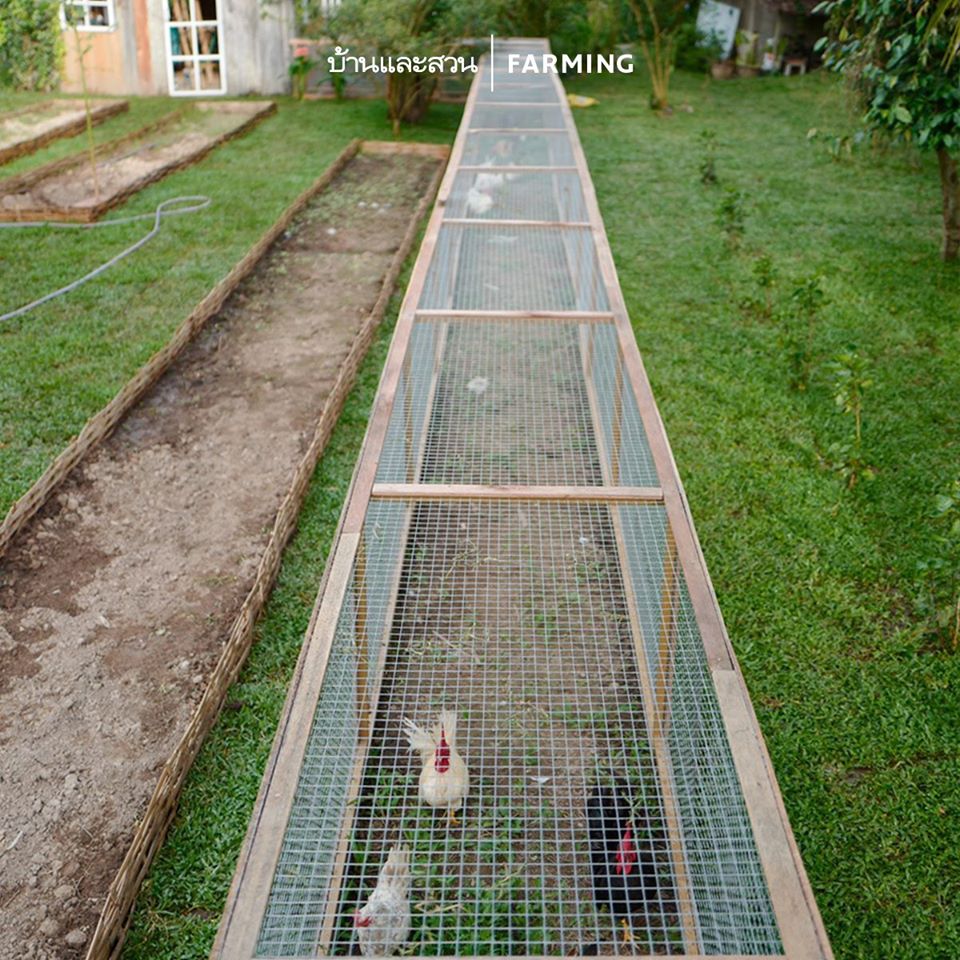 ไอดียทำเล้าไก่ ทำไว้ใช้เอง