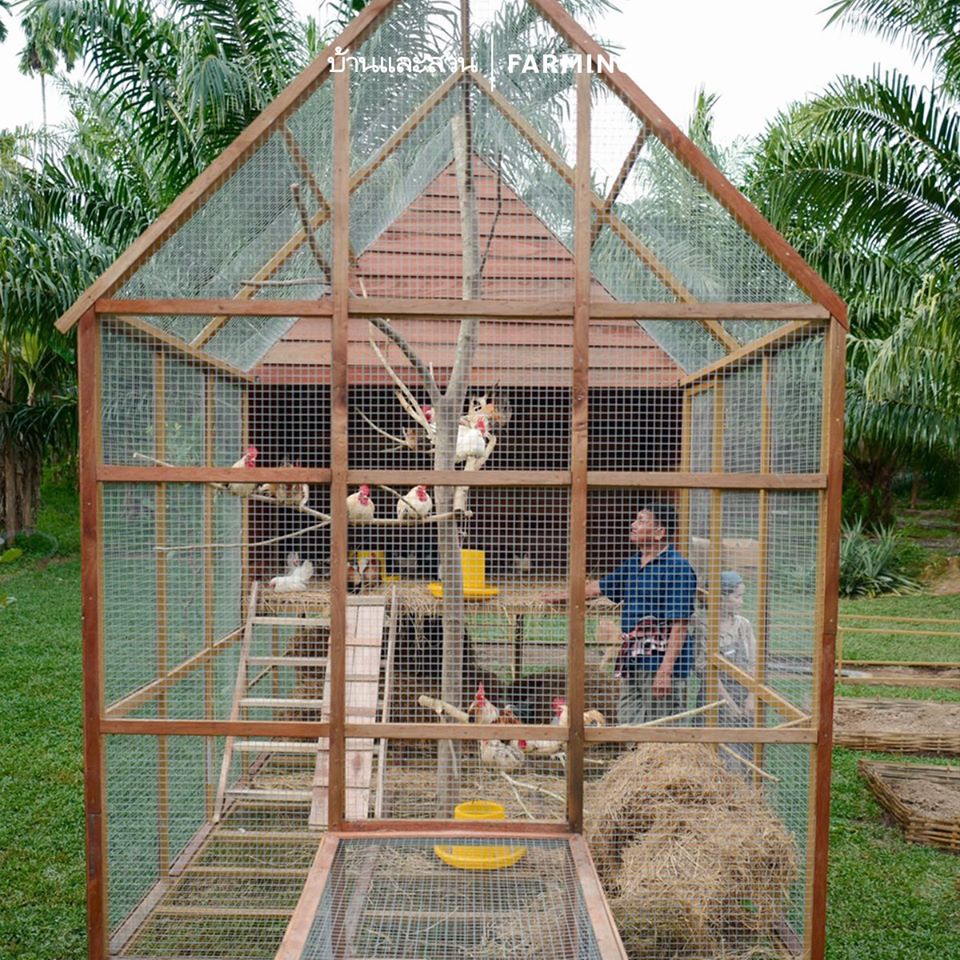 ไอดียทำเล้าไก่ ทำไว้ใช้เอง