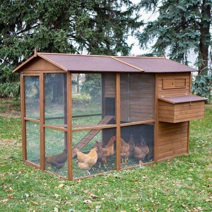 ไอดียทำเล้าไก่ ทำไว้ใช้เอง