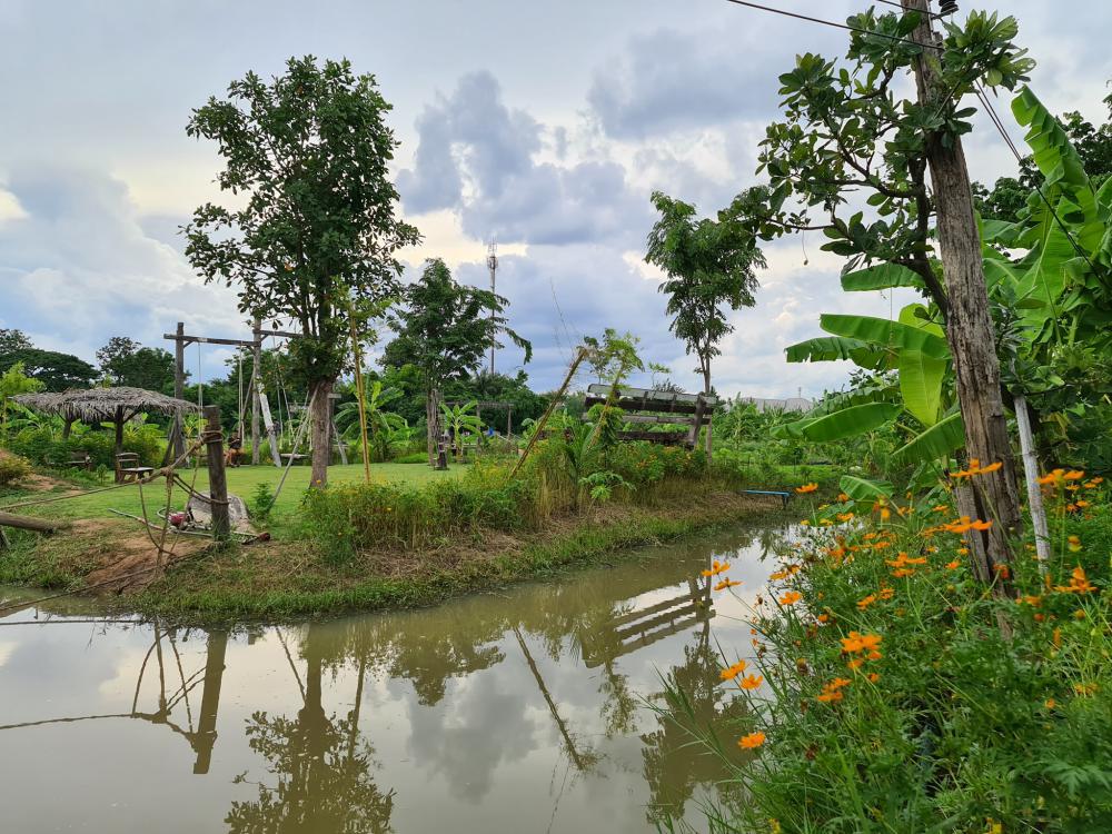 ฟาร์มปลูกสุข เขียวไปหมด ดูแล้วสดชื่น