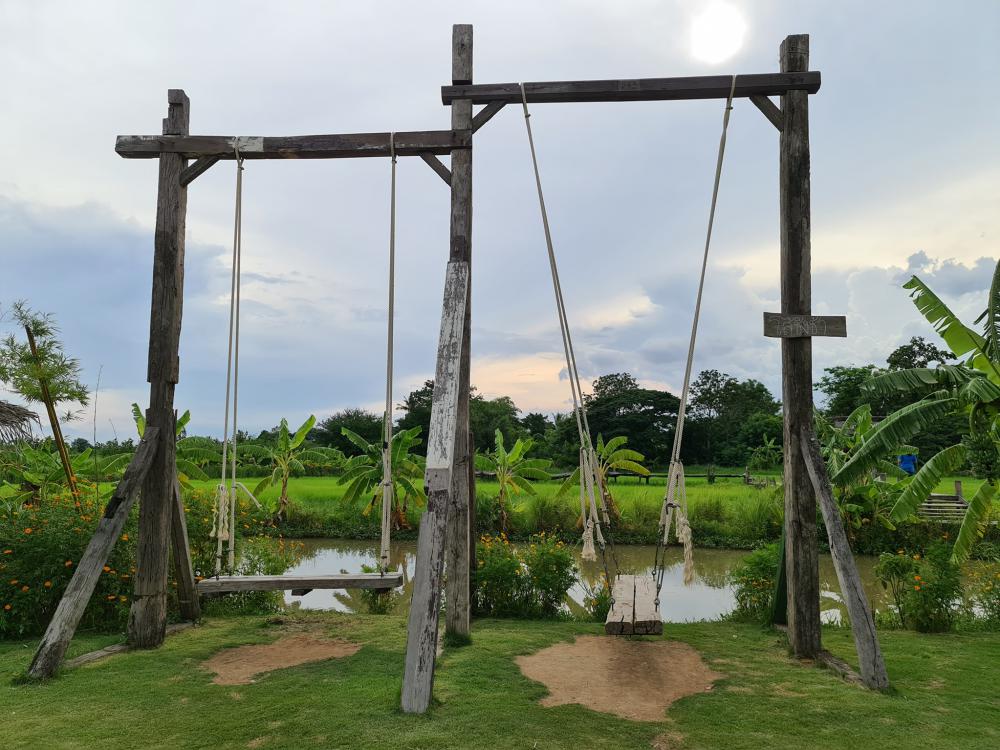 ฟาร์มปลูกสุข เขียวไปหมด ดูแล้วสดชื่น