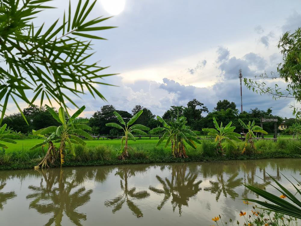 ฟาร์มปลูกสุข เขียวไปหมด ดูแล้วสดชื่น