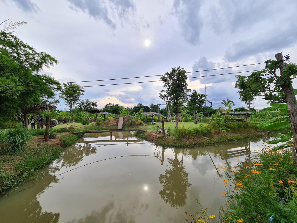 ฟาร์มปลูกสุข เขียวไปหมด ดูแล้วสดชื่น