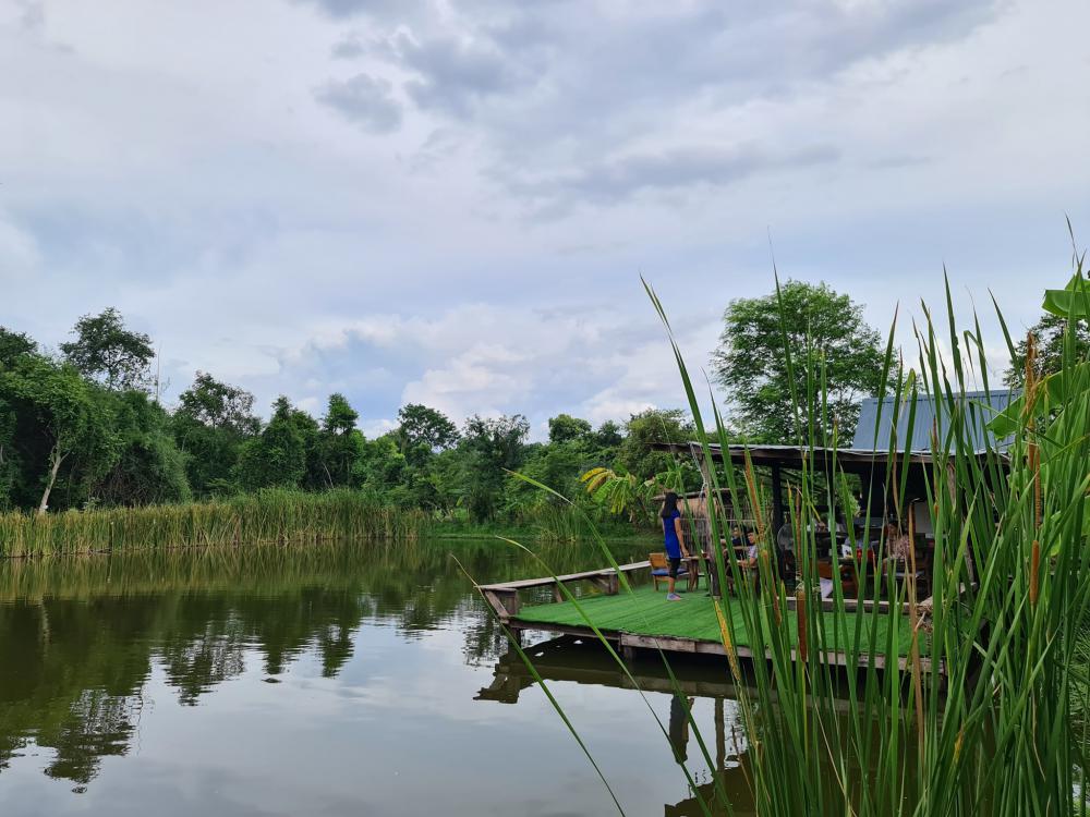 ฟาร์มปลูกสุข เขียวไปหมด ดูแล้วสดชื่น