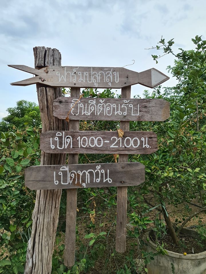 ฟาร์มปลูกสุข เขียวไปหมด ดูแล้วสดชื่น