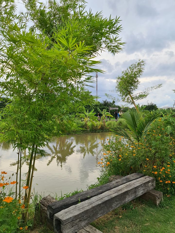 ฟาร์มปลูกสุข เขียวไปหมด ดูแล้วสดชื่น