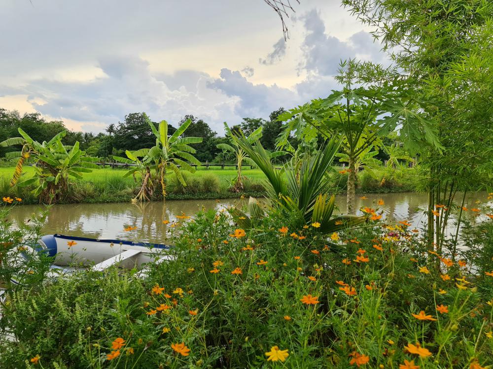 ฟาร์มปลูกสุข เขียวไปหมด ดูแล้วสดชื่น