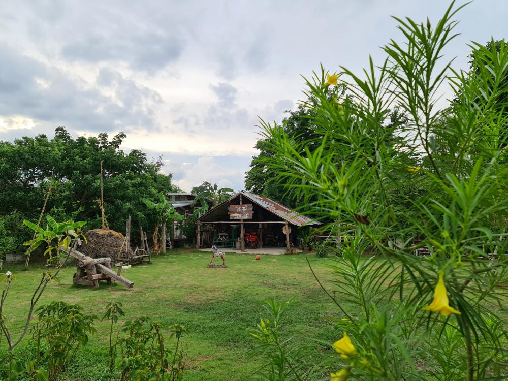 ฟาร์มปลูกสุข เขียวไปหมด ดูแล้วสดชื่น