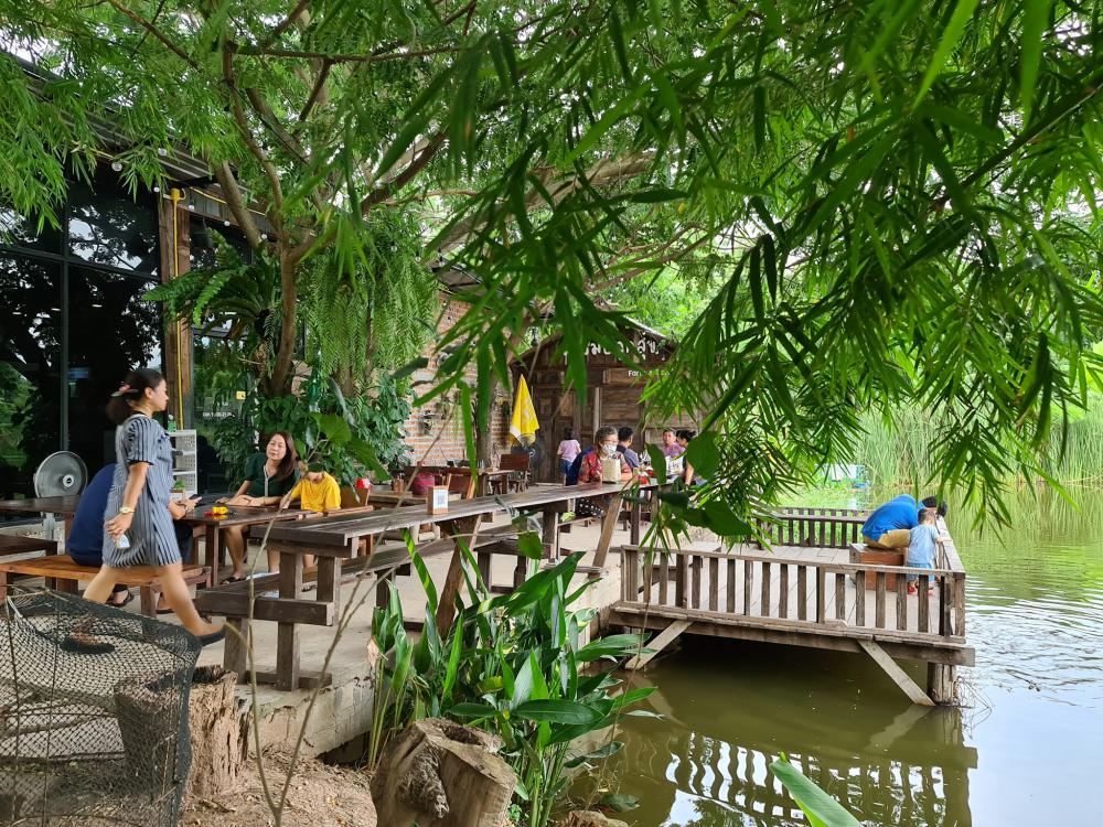 ฟาร์มปลูกสุข เขียวไปหมด ดูแล้วสดชื่น