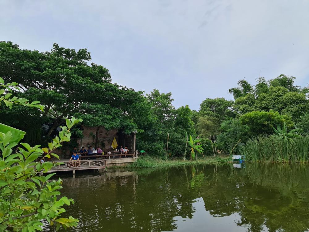 ฟาร์มปลูกสุข เขียวไปหมด ดูแล้วสดชื่น