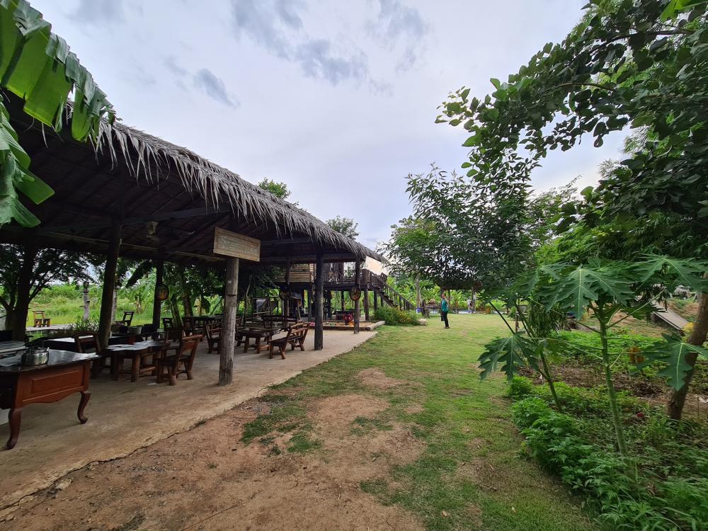 ฟาร์มปลูกสุข เขียวไปหมด ดูแล้วสดชื่น