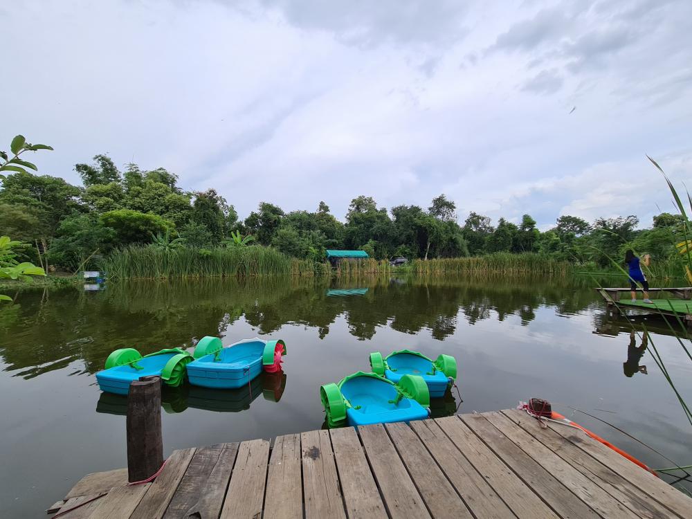 ฟาร์มปลูกสุข เขียวไปหมด ดูแล้วสดชื่น