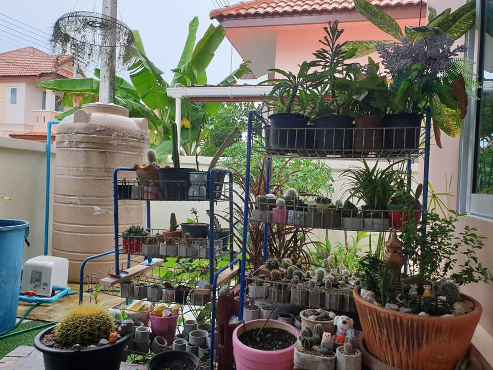 ไอเดียแต่งสวนบริเวณบ้าน สำหรับพื้นที่ไม่มาก