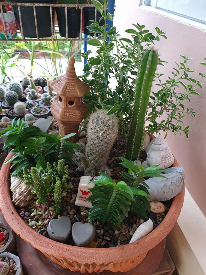 ไอเดียแต่งสวนบริเวณบ้าน สำหรับพื้นที่ไม่มาก