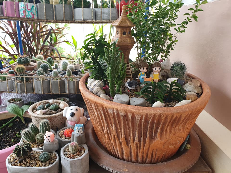 ไอเดียแต่งสวนบริเวณบ้าน สำหรับพื้นที่ไม่มาก