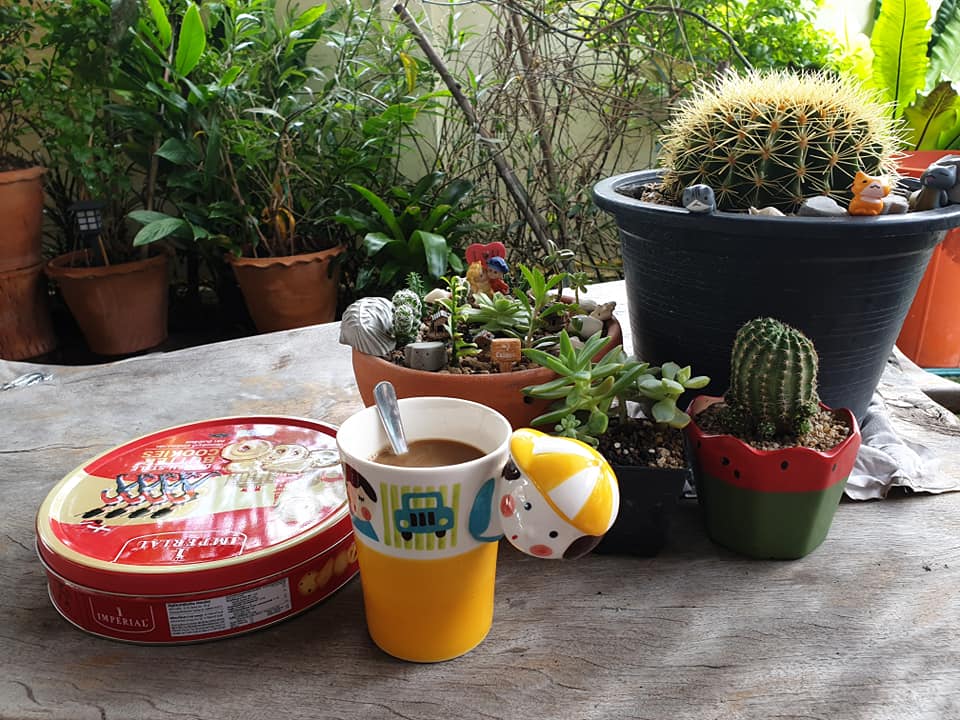 ไอเดียแต่งสวนบริเวณบ้าน สำหรับพื้นที่ไม่มาก