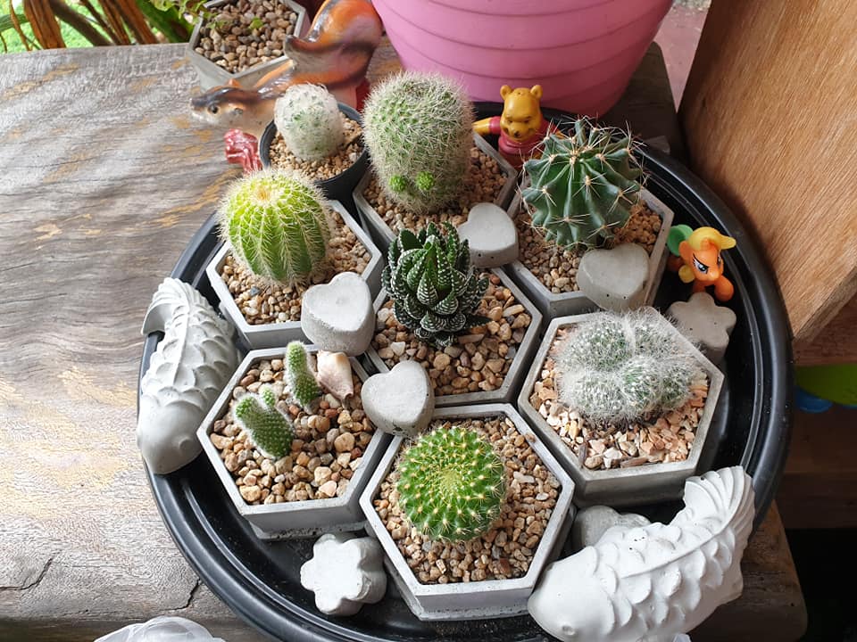 ไอเดียแต่งสวนบริเวณบ้าน สำหรับพื้นที่ไม่มาก