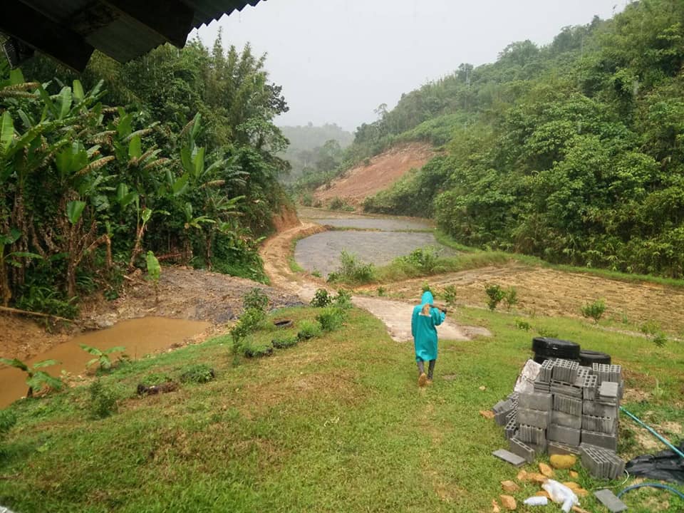 ไอเดียทำบ้านสวน เจ้าของบ้านทำเองตั้งแต่อิฐบล๊อก