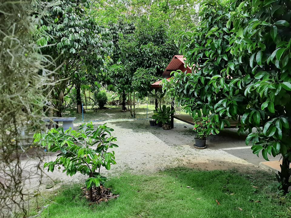 พาชมไอเดียจัดบ้านแต่งสวน เอาไว้ปรับใช้กับบ้านและสวนของคุณ