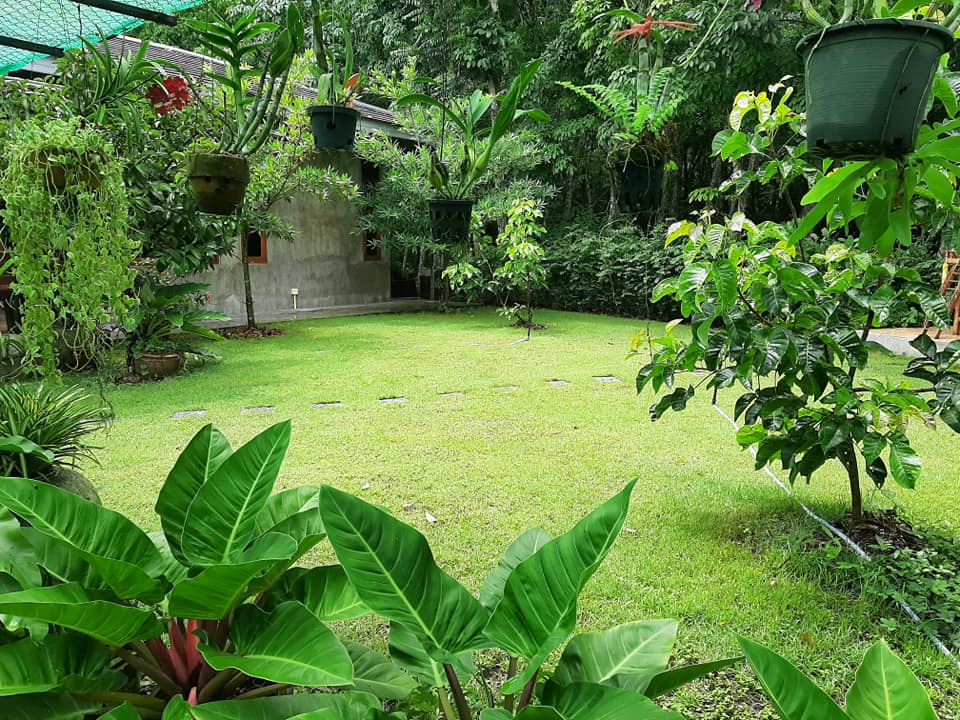 พาชมไอเดียจัดบ้านแต่งสวน เอาไว้ปรับใช้กับบ้านและสวนของคุณ