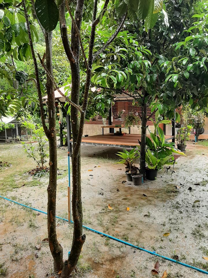 พาชมไอเดียจัดบ้านแต่งสวน เอาไว้ปรับใช้กับบ้านและสวนของคุณ