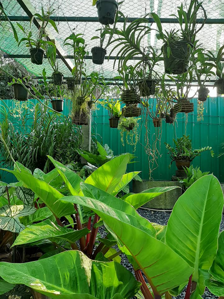 พาชมไอเดียจัดบ้านแต่งสวน เอาไว้ปรับใช้กับบ้านและสวนของคุณ