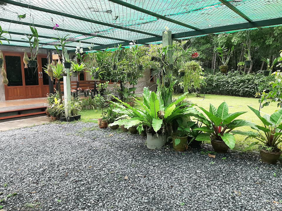 พาชมไอเดียจัดบ้านแต่งสวน เอาไว้ปรับใช้กับบ้านและสวนของคุณ