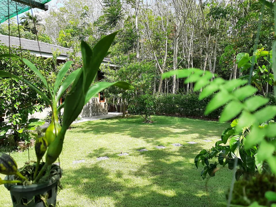 พาชมไอเดียจัดบ้านแต่งสวน เอาไว้ปรับใช้กับบ้านและสวนของคุณ