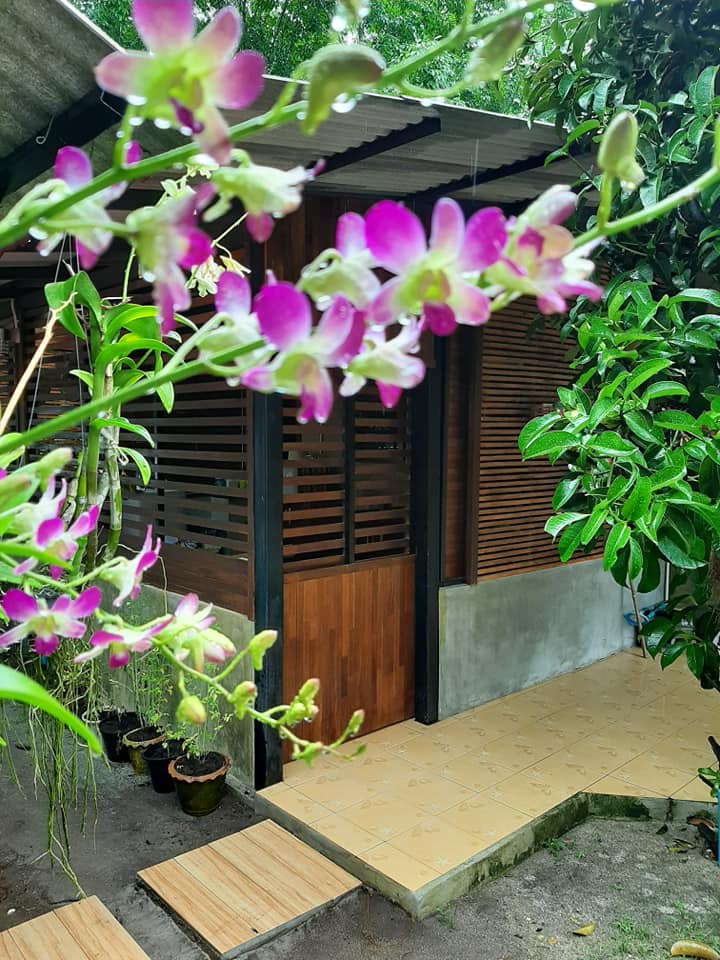 พาชมไอเดียจัดบ้านแต่งสวน เอาไว้ปรับใช้กับบ้านและสวนของคุณ